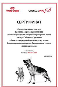 certificat 3 200