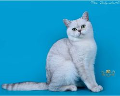 г.Пятигорск 25-26 августа 2018г