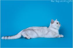 г.Пятигорск 25-26 августа 2018г