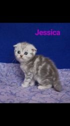 Jessica в возрасте 1 месяц