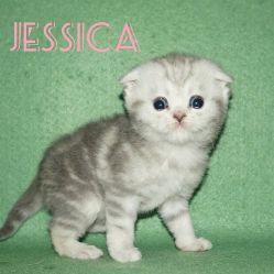 Jessica в возрасте 1 месяц