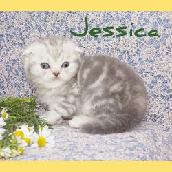 Jessica в возрасте полтора месяца
