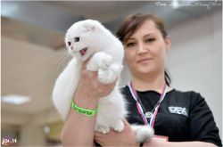 г.Пятигорск 6-7 апреля 2019