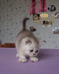  1 мес 9 дн