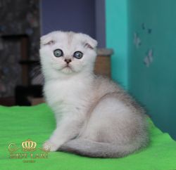 3мес