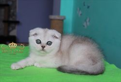 3мес