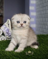 Emelya
