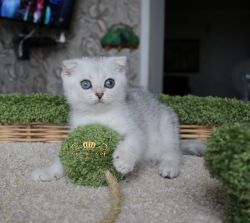 Помет J