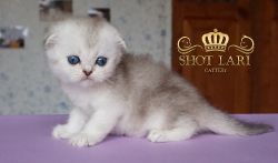возраст 1 месяц