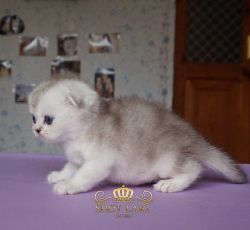 возраст 1 месяц
