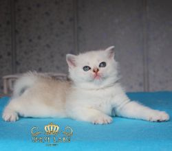 1 месяц. 11дней