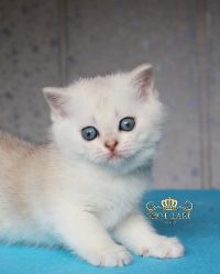 1 месяц. 11дней
