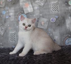 2 месяца 25 дней